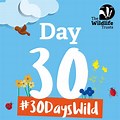 30 Days Wild Clip Art