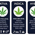 9 Weed Types