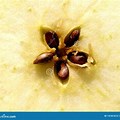 A Picture of a Sliced Apple On a Textured Surface