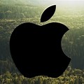 Apple Environmental Pixture
