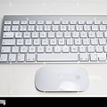 Apple Keyboard and Mouse Table Top View