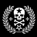 Army Skull Logo Signal Design