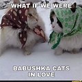 Babushka with Cat Funny