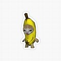 Banana Cat Meme Transparent Stickers