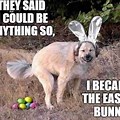Best Funny Easter Memes
