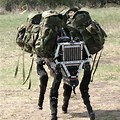 Big Dog Robot for Military Transport