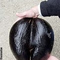 Biggest Seed That Isn't a Fruit