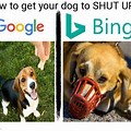 Bing Dog Memes
