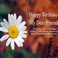 Birthday Wishes for My Friend