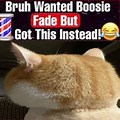 Boosie Fade Cat Meme