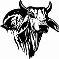 Brahman Cow Clip Art