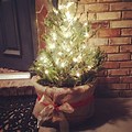 Bushel Basket Christmas Tree