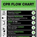 CPR Flow Chart