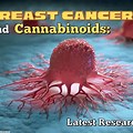 Cannabinoids Cancer