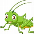 Cartoon Grasshopper Clip Art