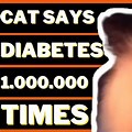 Cat Says Diabetes