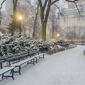 Central Park Snow Storm