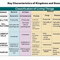Characteristics of Living Things Chart