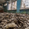 Chernobyl Nuclear Disaster Effects