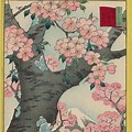 Cherry Blossom in Ukiyo E Hokusai