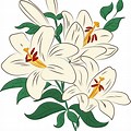 Clip Art Lily Flower Shape
