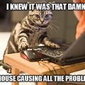 Computer Rat Problem Meme