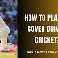 Cover Drive Cricket Clip Art