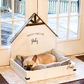 Cute Beds for Dogs