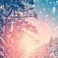 Cute Winter iPhone Wallpaper