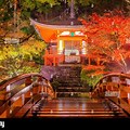 Daigo Ji Temple Japan at Night