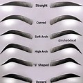 Different Types of Eyebrows
