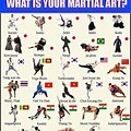 Different Types of Karate Styles