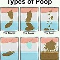 Different Types of Poop Funny