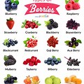 Different Types of Wild Berries