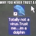 Dolphin Virus Meme