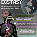 Ecstasy Drug Side Effects