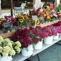 Farmers Market with Flowers in Oley PA