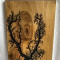 Fractal Burnt Wood