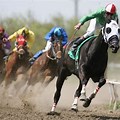 Free Horse Racing Wallpaper