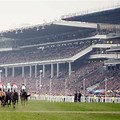 Free Pictures of Horse Racing at Cheltenham