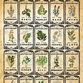 Free Printable Vintage Herb Labels