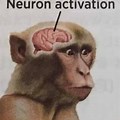 Full Brain Activation Meme