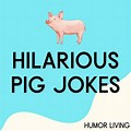 Funny Fat Pig Jokes
