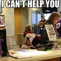 Funny Receptionist Characters
