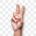 Gesture Victory Hand PNG