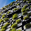 Green Wall Building Facade