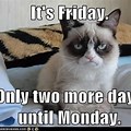 Grumpy Cat Friday Meme