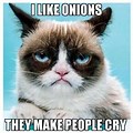 Grumpy Cat Most Popular Memes