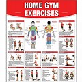 Gym Exercise Chart PDF