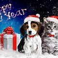 Happy New Year with Animals Facebook Cover Photo